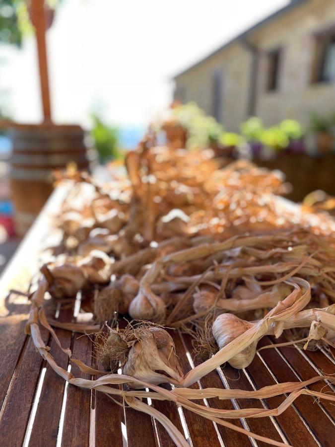 La Tana Del Picchio Villa Neviano degli Arduini Buitenkant foto