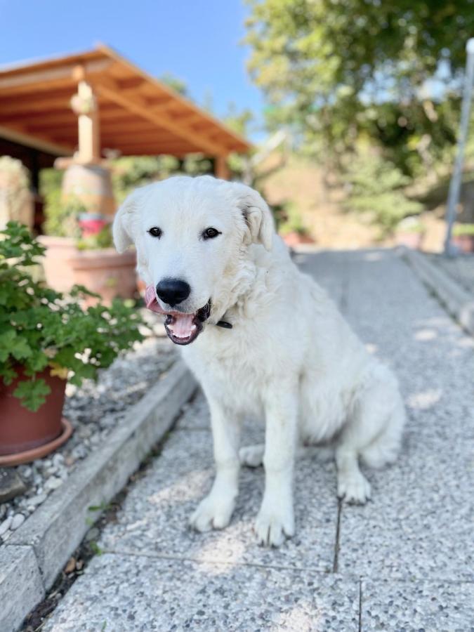 La Tana Del Picchio Villa Neviano degli Arduini Buitenkant foto
