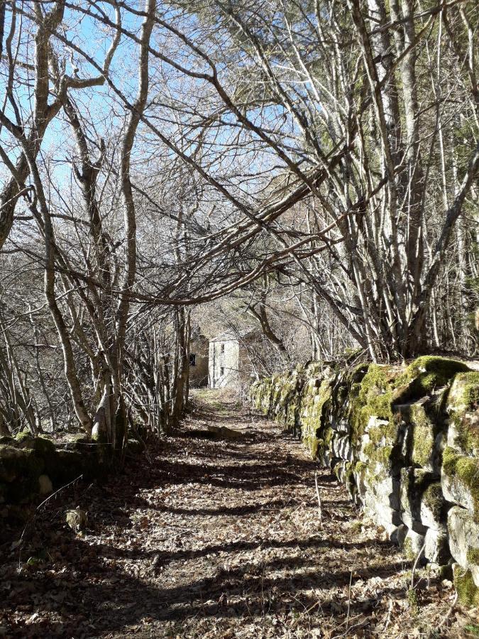 La Tana Del Picchio Villa Neviano degli Arduini Buitenkant foto