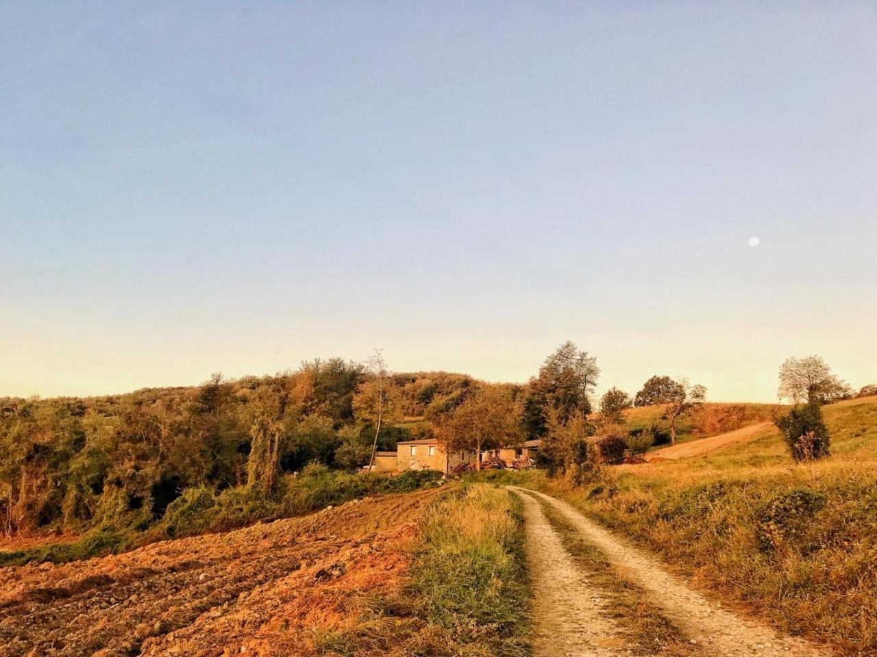 La Tana Del Picchio Villa Neviano degli Arduini Buitenkant foto
