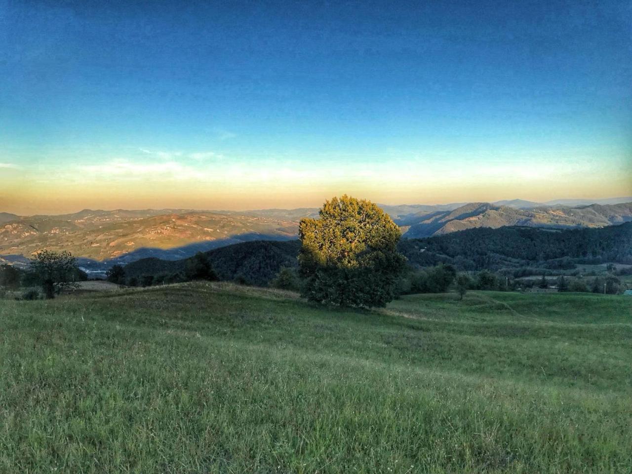 La Tana Del Picchio Villa Neviano degli Arduini Buitenkant foto